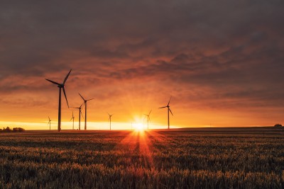 Wind turbines in the sunset