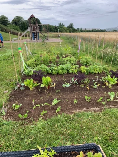 Kindergarten's cultivated field