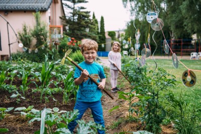 Children harvest vegetables