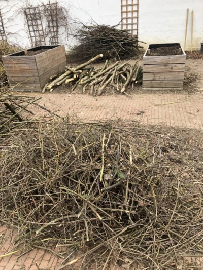 Raised beds in the wonder garden are filled with dry branches