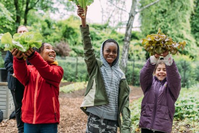 Children harvest vegetables