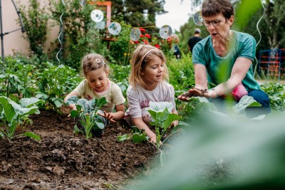 Children and adults harvest vegetables