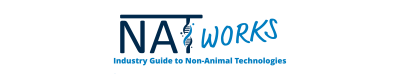 NATworks Logo