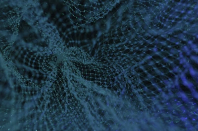 A symbolic network
