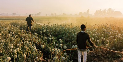 Farmers watering a field