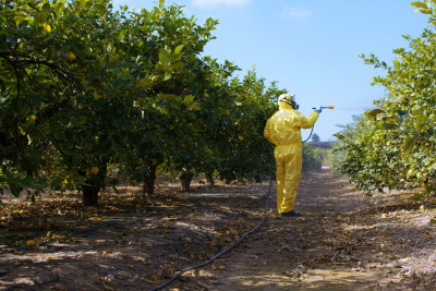 A man sprays pesticides