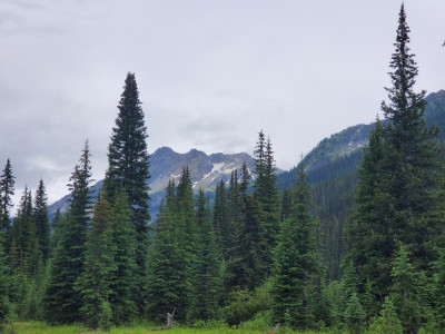 A view from the forest in the mountains