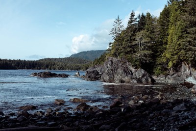 A beach section on a river