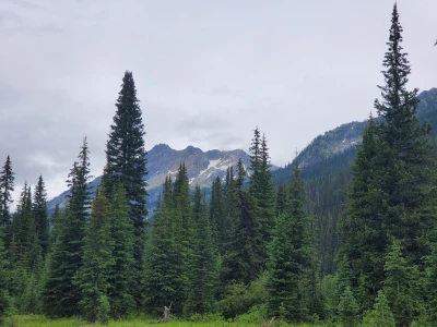 A view from the forest in the mountains
