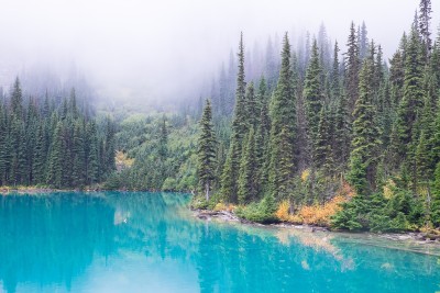 A lake in the forest