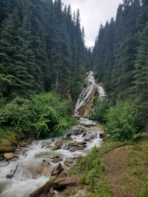 A river in the forest