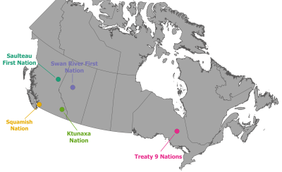 A map showing the nations the foundation is currently working with