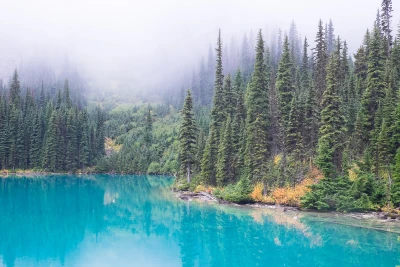 A lake in the forest