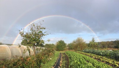 Permaculture in Steyerberg
