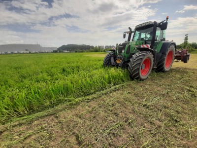 A tractor ploughs a field