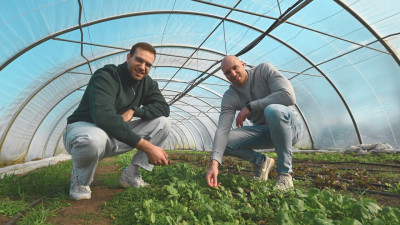 The Möller brothers in their greenhouse