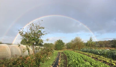 Permaculture in Steyerberg