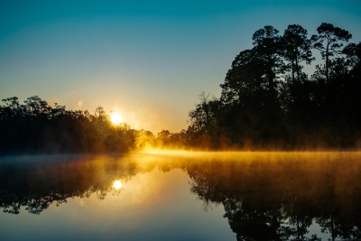 A pond in the morning sun