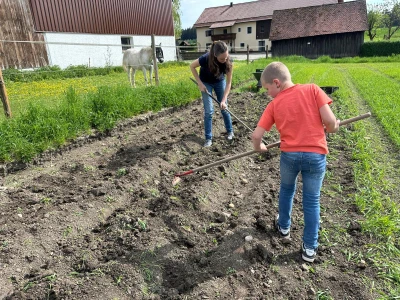 Two people raking a field