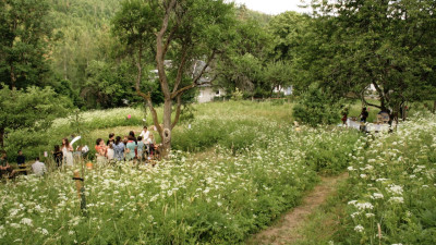 A group is standing by a tree.