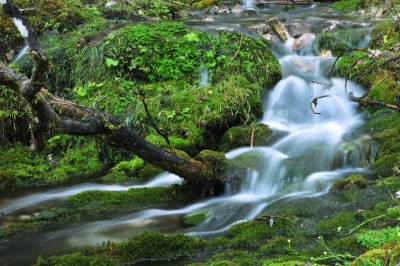 A River