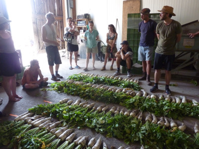 People stand around their harvest