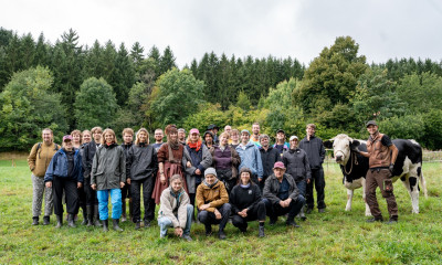 The whole team