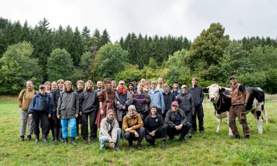 The whole team