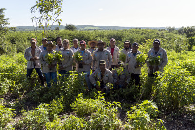 Group image Plant for the Planet Foundation