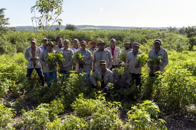 Group image Plant for the Planet Foundation