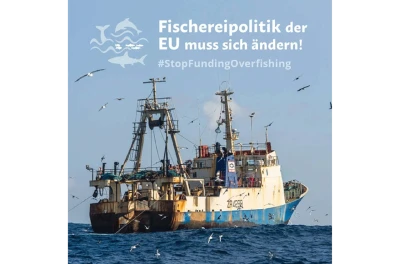 poster of the marine protection campaign