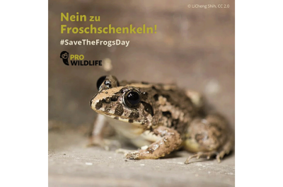 Poster of the frog leg campaign