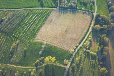 An area under cultivation from above