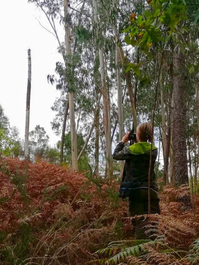 A person in the forest