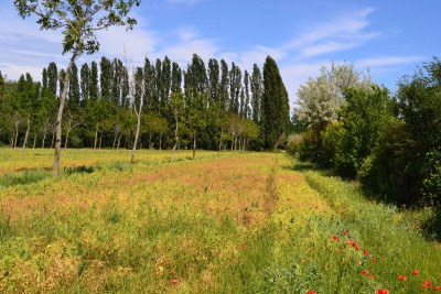 A landscape in Sardinia