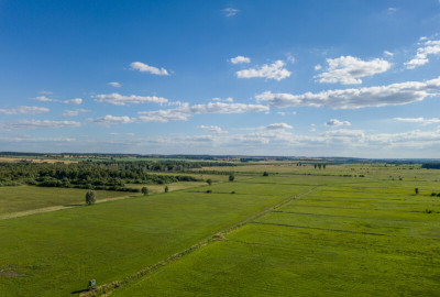 A rewetted area