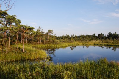 A lake in the moor