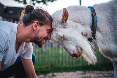 A man and a goat