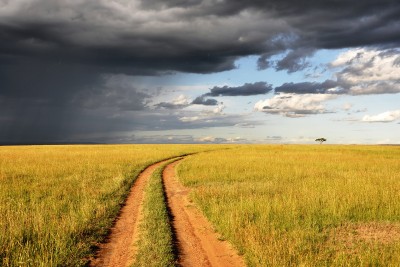 Steppenlandschaft mit Pfad