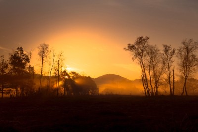 Sunrise in a swamp